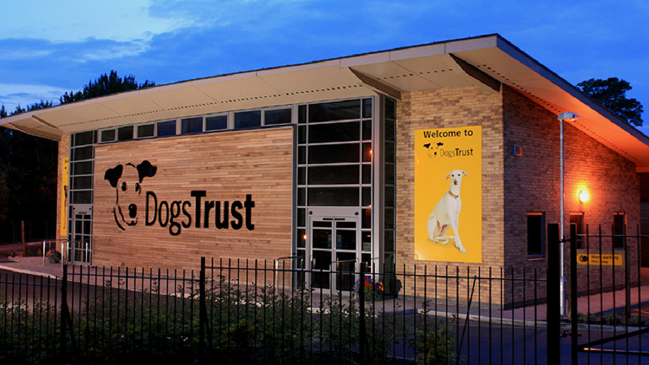 Fourth breakin at home for abandoned dogs since Christmas Day