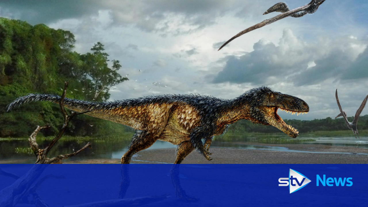 Dinosaur Discovery Reveals Evolution Of Tyrannosaurus Rex