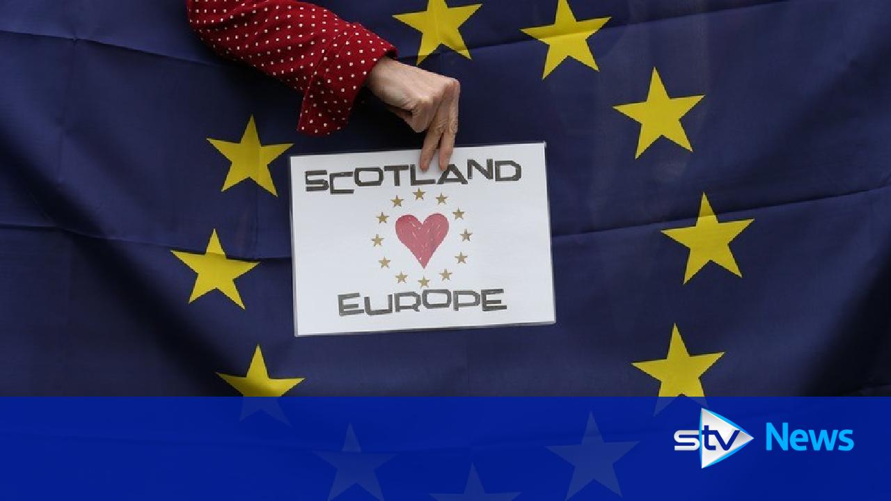 Brexit: UK Government warned Scotland 'must be equal partner' - STV News