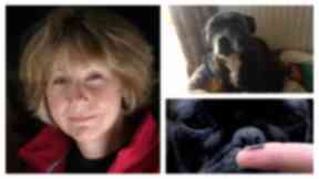 Melanie Reid, Pip, and the new canine microchip.