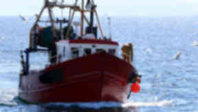 Brexit: Many fishermen hope to see the end of quotas after thhe UK leaves EU.