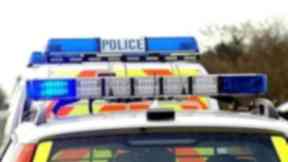 Police investigate unusual theft
