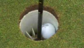 Golf: Developers say they have public support (file pic).