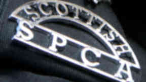 Scottish SPCA: Informed of incident (file pic).