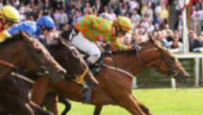 Musselburgh: Racecourse deemed fit after inspection.