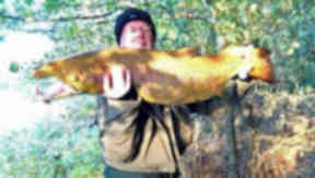 Shamus Jennings caught the 50lb fish at Boleside Beat on the River Tweed in the Scottish Borders