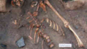 Skeleton found at archaeological dig at Scottish Seabird Centre in North Berwick.