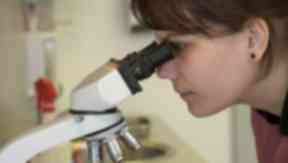 CRANES have donated over £200,000 to cancer research projects.