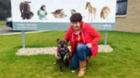 Bolt (Chester) and his new owner Nikki