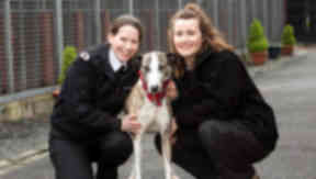 Maurice the lurcher with PhD student and Scottish SPCA researcher who took part in research into music's effect on dogs. Image from Scottish SPCA Monday March 2 2015.