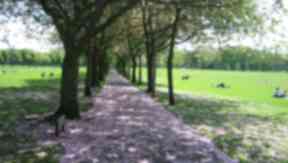 The robberies took place in the Meadows.