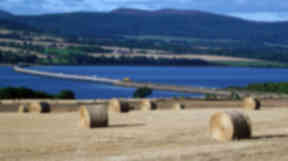 Cromarty: The expansion will create around 140 jobs. (file pic)