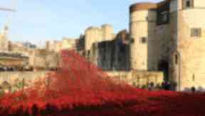 The Weeping Willow installation at the Tower of London was inspiration for the group.