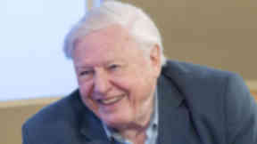 Sir David Attenborough has called for new laws to help nature