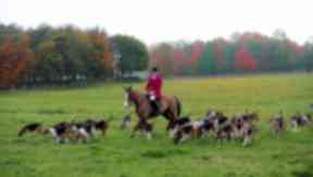 Fox hunt: The family followed and filmed people on Snaigow Estate (file pic).