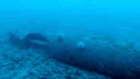 Missing torpedo: Mystery of misfired bomb may be solved.