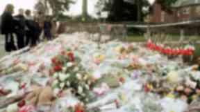 Dunblane: Flowers outside school.