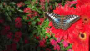 Project soothe: Does this picture make you feel calm?