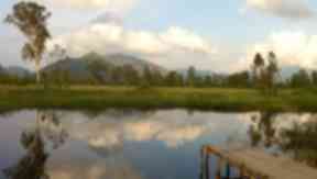 Natural landscapes: These pictures proved popular among entrants.