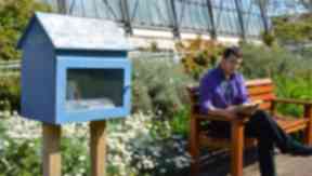 Sunny spot: The Botanics fills its little library with nature books.