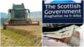 Farming: The system was set up to reform CAP payments.
