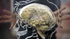 Mind boggling: Have you ever taken the official IQ test?