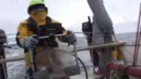 David Hempleman Adams has been exploring the arctic for 30 years.