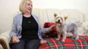 Furry friend: Moira Clark, 76, and Leo in Paisley.