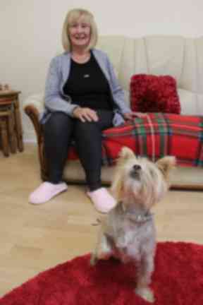 The little Yorkie has made all the difference.