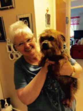 Toto was adopted after his owner was diagnosed with terminal illness.