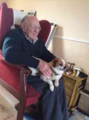 Stephen and Appollo needed help with rehoming fees.