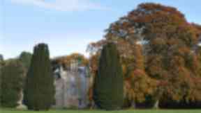Estate: The castle comes with eight acres of grounds.