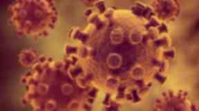 Cancer: Technology to show how tumours form.