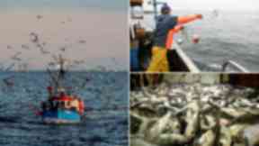 Fishing: UK set to leave Common Fisheries Policy.