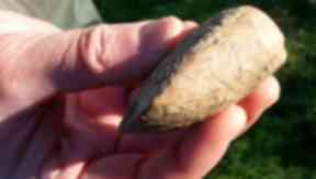 Orkney: Ancient axe head found in field (file pic).