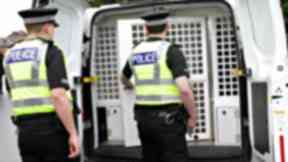 Custody: Man set himself on fire in police van