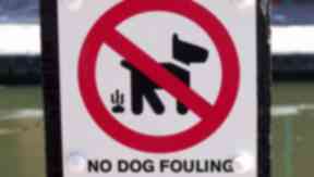 Mujer desalojada de su casa durante perro suciedad quejas - STV Noticias 1 Dog fouling: Major antisocial behaviour issue for tenants (file pic).