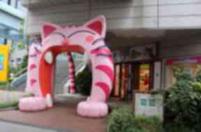 The idea originally began in Japan.