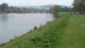 River Dee: Dead swans found inside bags.