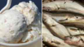 Foul mix: Ice cream and fish allegedly mashed together in same bowl.
