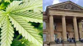 Dundee: Two men jailed over cannabis farm.