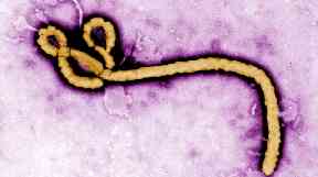 At least two people have died in the latest Ebola outbreak.
