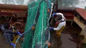 Fishing regulations were put in place to protect cod stocks.