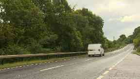 Road: Plans to trim back the branches.