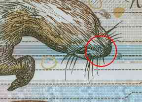 RBS £10 polymer bank note