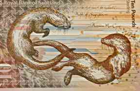 Otters at play - hold a blipper app above them and they appear to swim.