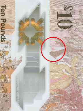 Midges appear on both the £5 and £10 notes.