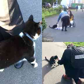 Good morning! These black trousers looked like they needed some cat hair added. Human, you're welcome.