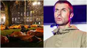 Charity: Liam Gallagher is among the acts that will play at Sleep in the Park.