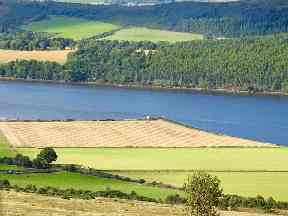 A farmer creates a tartan pattern overlooking the Dornoch Firth.